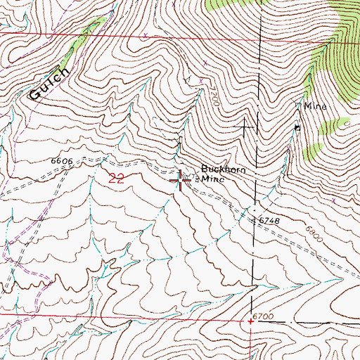 Topographic Map of Buckhorn Mine, ID