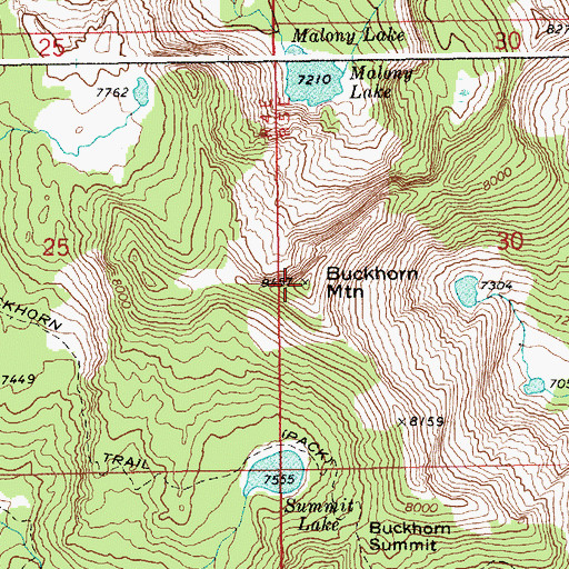 Topographic Map of Buckhorn Mountain, ID