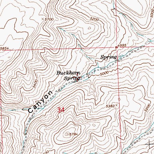 Topographic Map of Buckhorn Spring, ID