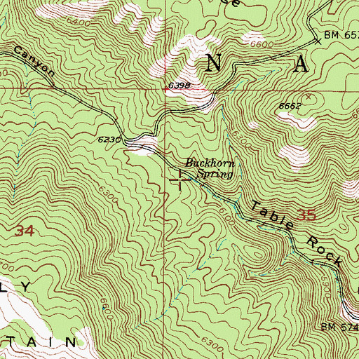 Topographic Map of Buckhorn Spring, ID