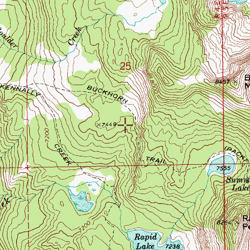 Topographic Map of Buckhorn Trail, ID