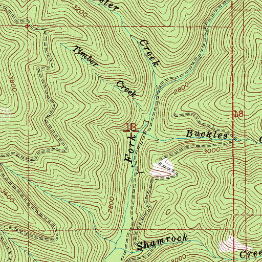 Topographic Map of Buckles Creek, ID