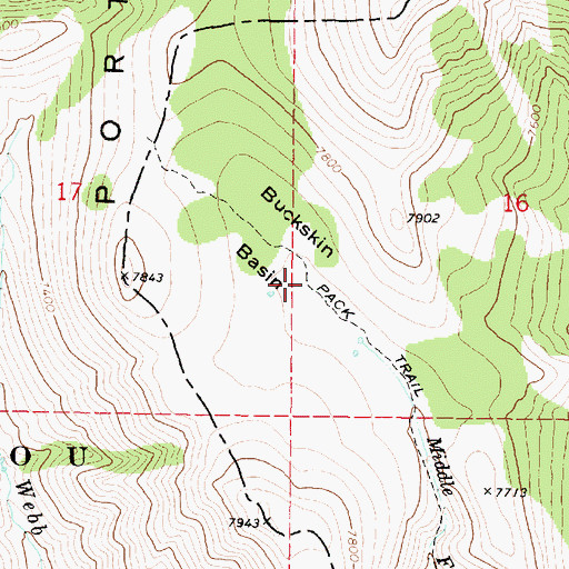 Topographic Map of Buckskin Basin, ID