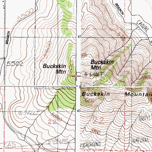 Topographic Map of Buckskin Mountain, ID
