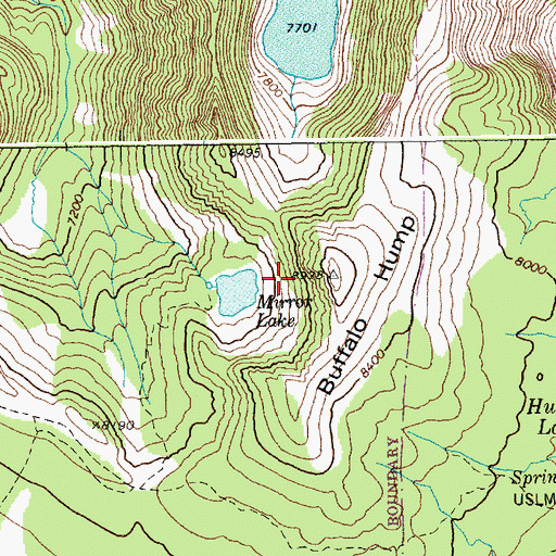 Topographic Map of Buffalo Hump, ID