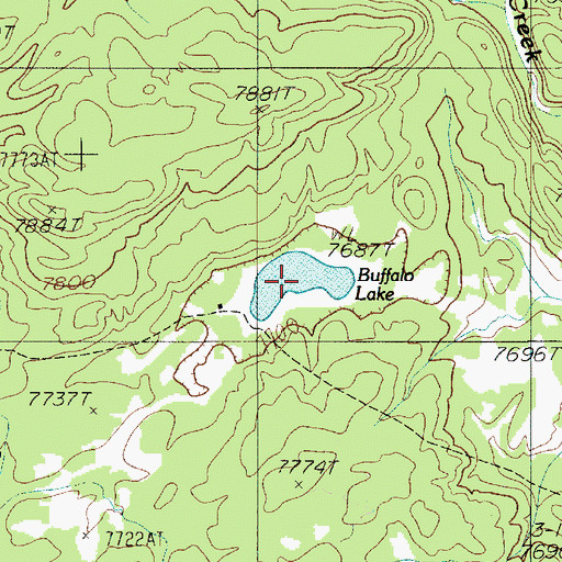 Topographic Map of Buffalo Lake, ID
