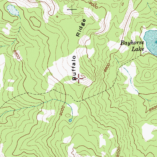 Topographic Map of Buffalo Ridge, ID