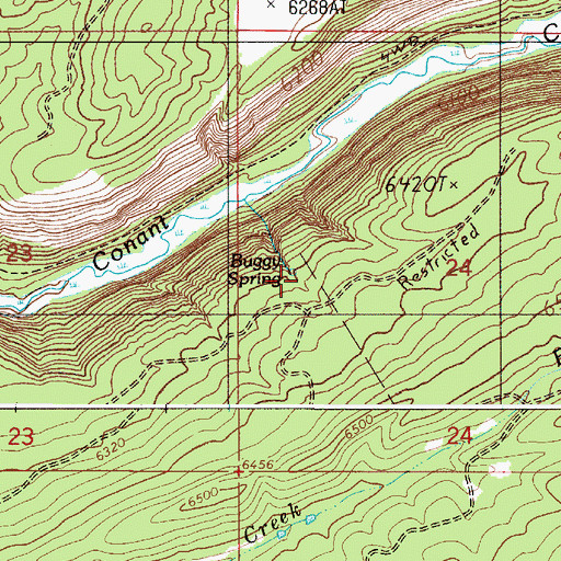 Topographic Map of Buggy Spring, ID