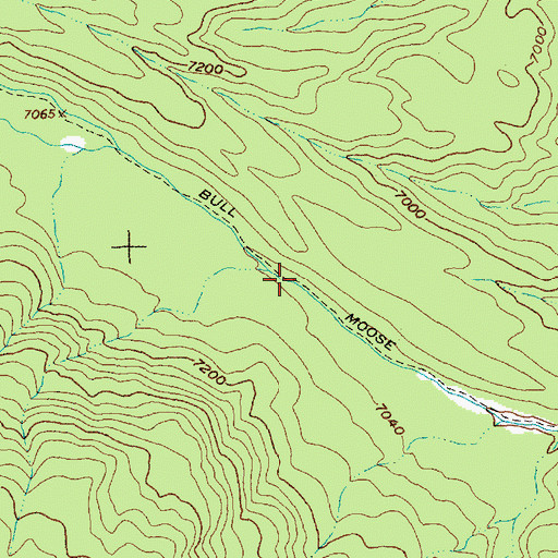 Topographic Map of Bull Moose Trail, ID