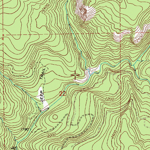 Topographic Map of Bull Run Creek, ID