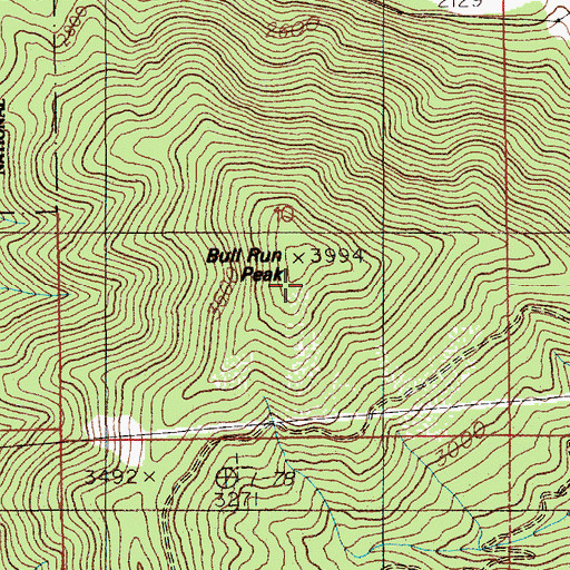 Topographic Map of Bull Run Peak, ID