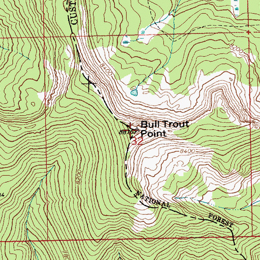 Topographic Map of Bull Trout Point, ID