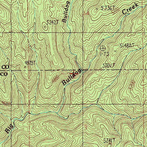Topographic Map of Bulldog Creek, ID