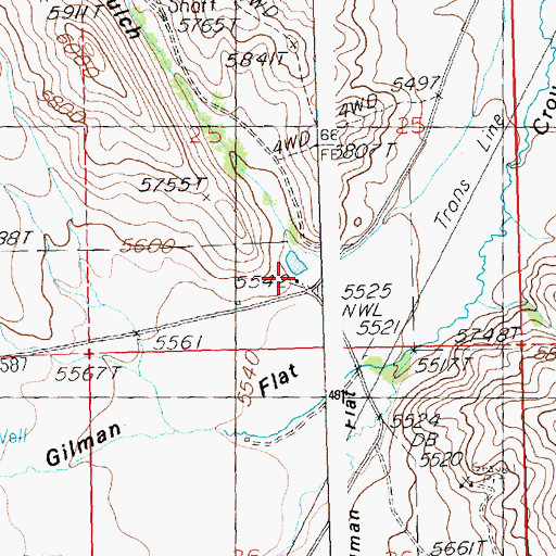 Topographic Map of Bullion Gulch, ID