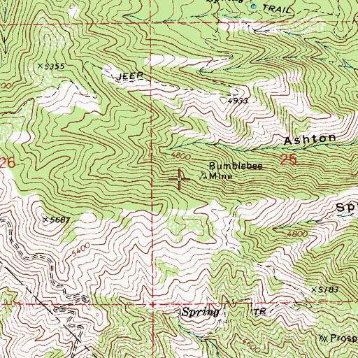 Topographic Map of Bumblebee Mine, ID