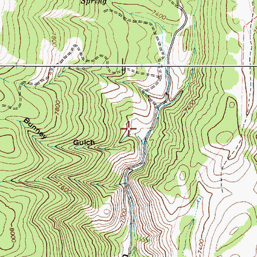 Topographic Map of Bunney Gulch, ID