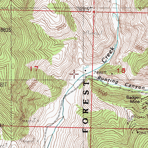 Topographic Map of Bunting Canyon, ID