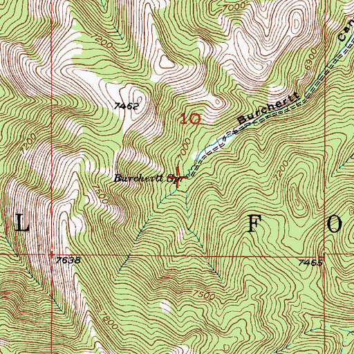 Topographic Map of Burchertt Spring, ID