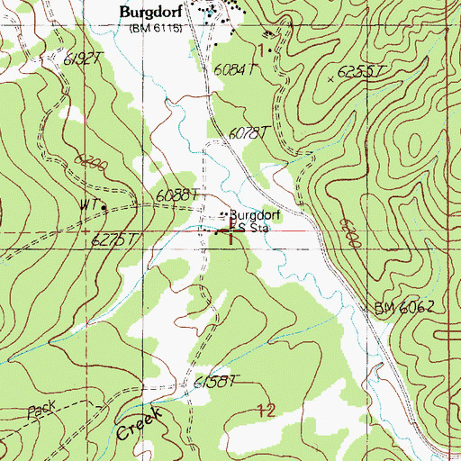 Topographic Map of Burgdorf Creek, ID