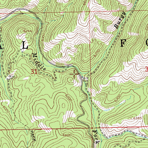 Topographic Map of Burgy Creek, ID