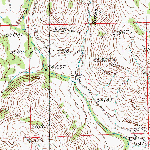Topographic Map of Burns Gulch, ID