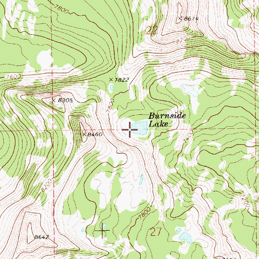 Topographic Map of Burnside Lake, ID