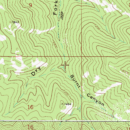 Topographic Map of Burnt Canyon, ID