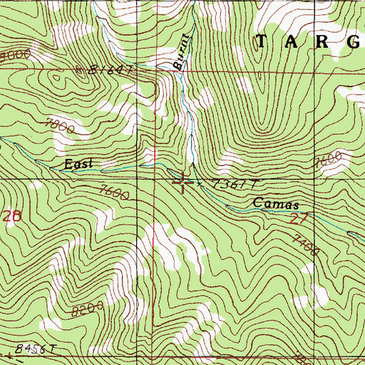 Topographic Map of Burnt Canyon, ID