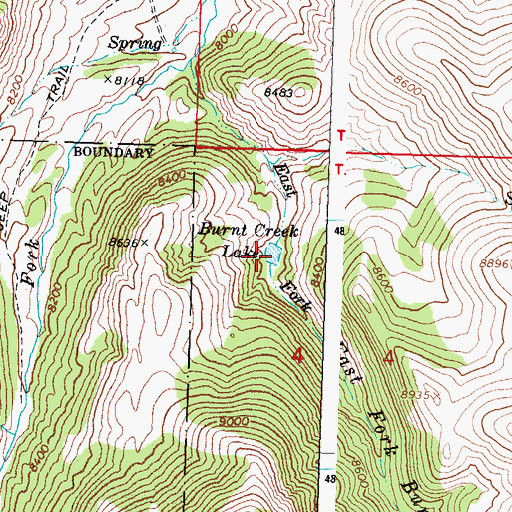 Topographic Map of Burnt Creek Lake, ID
