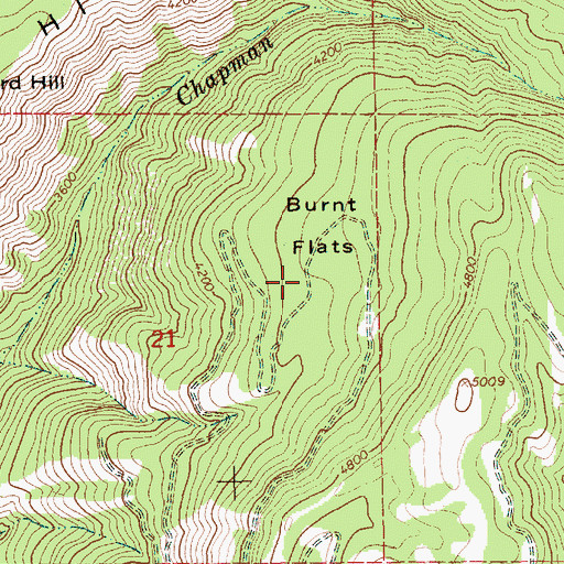 Topographic Map of Burnt Flats, ID