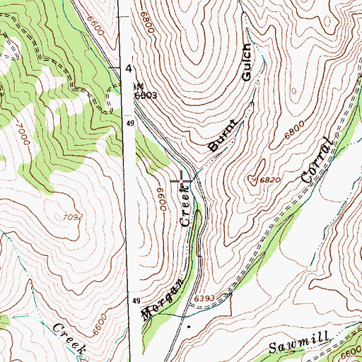 Topographic Map of Burnt Gulch, ID