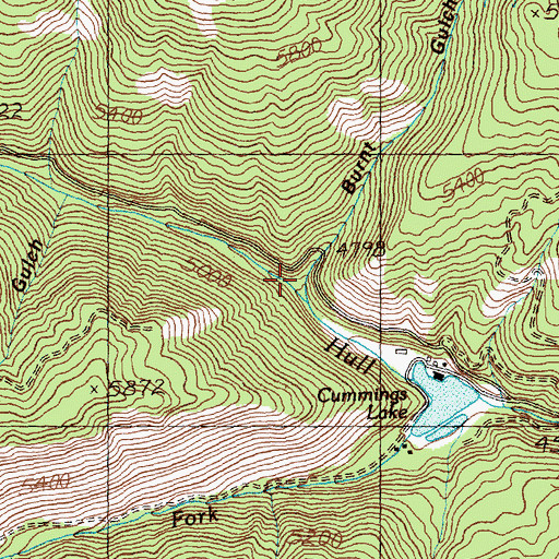 Topographic Map of Burnt Gulch, ID