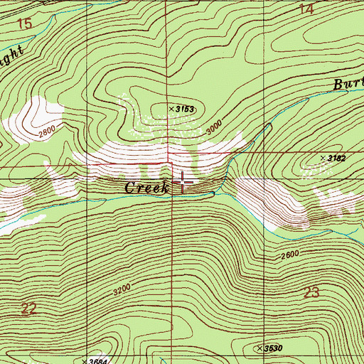Topographic Map of Burton Creek, ID