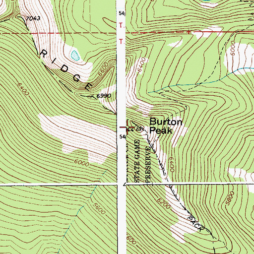 Topographic Map of Burton Peak, ID