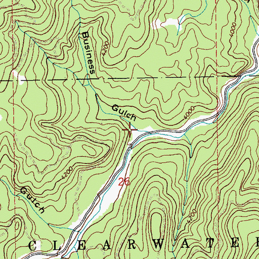 Topographic Map of Business Gulch, ID