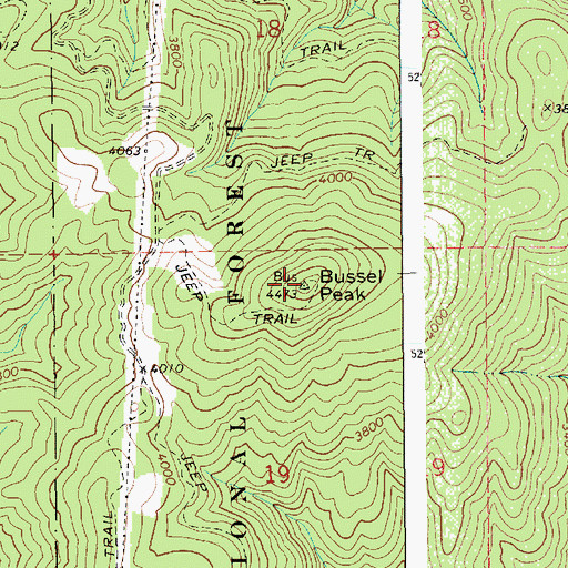 Topographic Map of Bussel Peak, ID