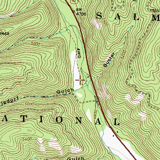 Topographic Map of Buster Gulch, ID