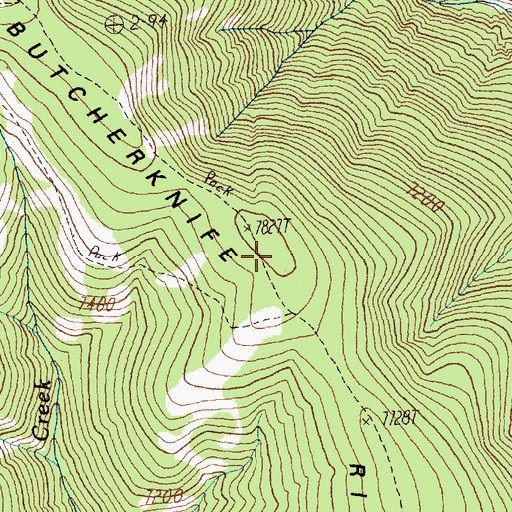 Topographic Map of Butcherknife Ridge, ID