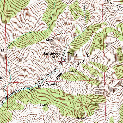 Topographic Map of Buttercup Mine, ID