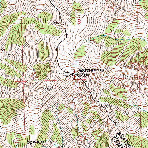 Topographic Map of Buttercup Mountain, ID