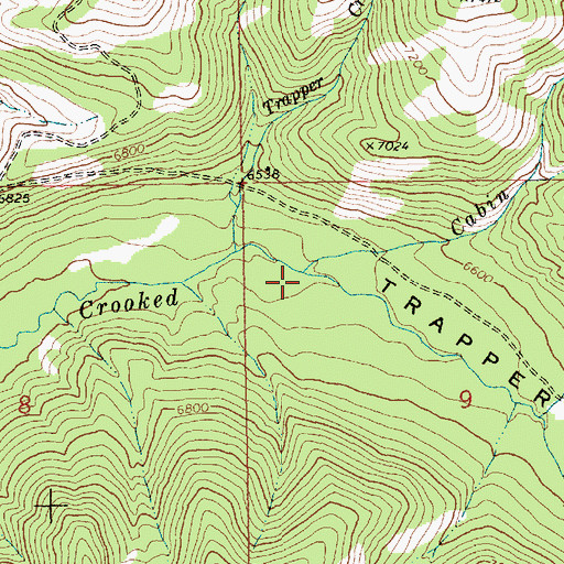Topographic Map of Cabin Creek, ID