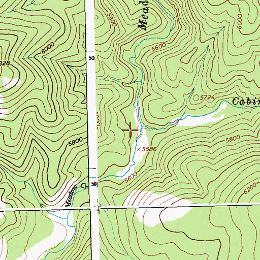 Topographic Map of Cabin Creek, ID
