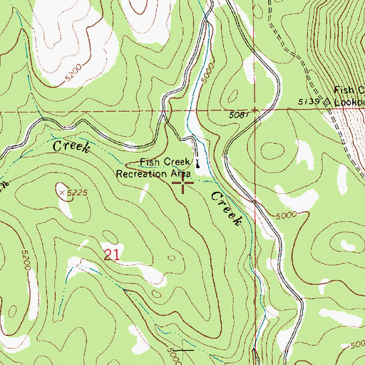 Topographic Map of Cabin Creek, ID