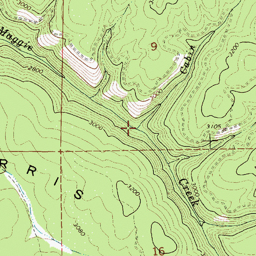 Topographic Map of Cabin Creek, ID