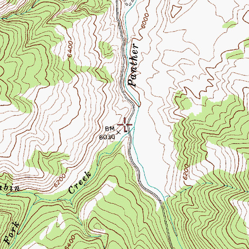 Topographic Map of Cabin Creek, ID
