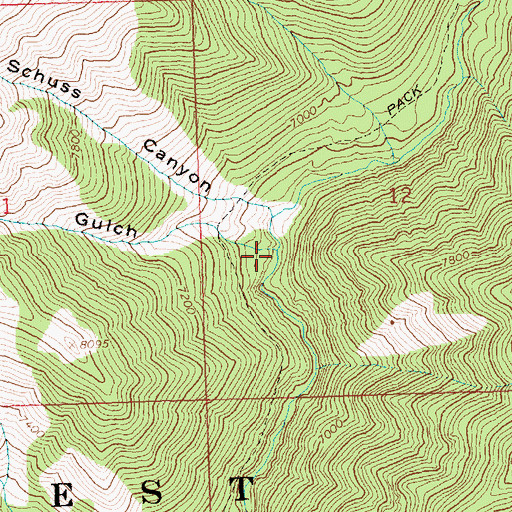 Topographic Map of Cabin Gulch, ID