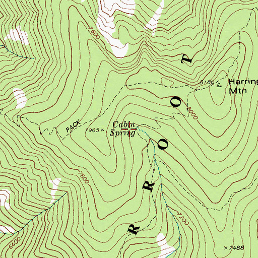 Topographic Map of Cabin Spring, ID
