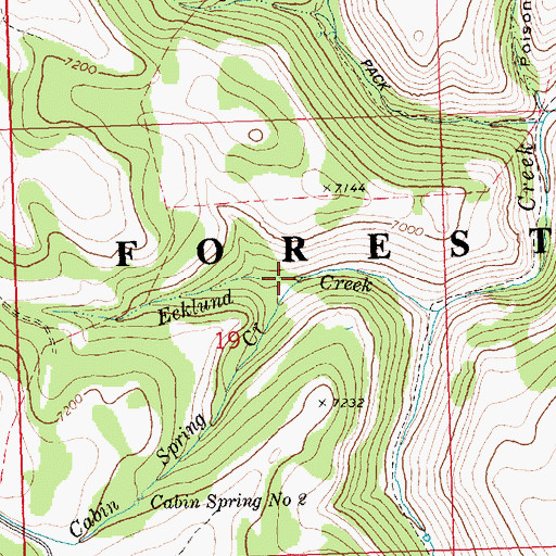 Topographic Map of Cabin Spring Creek, ID