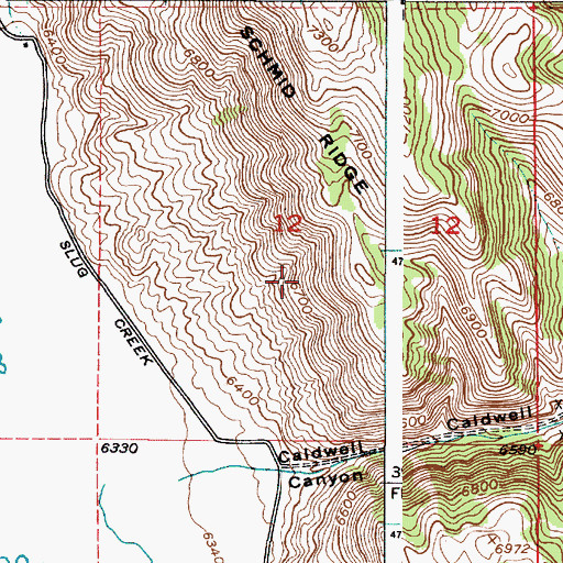 Topographic Map of Caldwell Canyon, ID