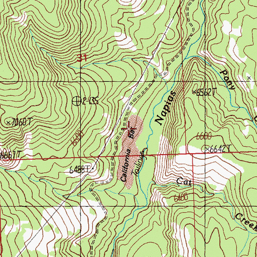 Topographic Map of California Bar, ID